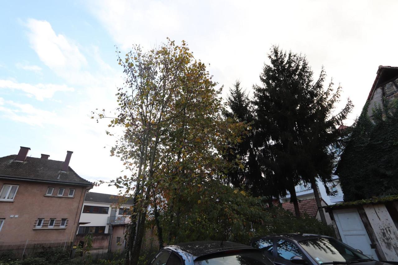 Homeday Cultivateur N°2 Appartement Type F3 Hagenau Exterior foto